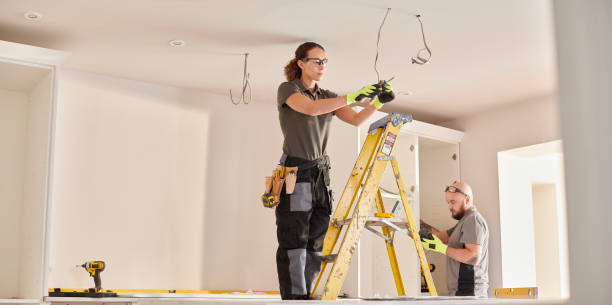 Best Electrical System Inspection  in Leadwood, MO